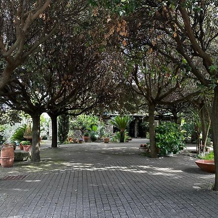 Borgo De' Paolis Apartment Гротаферата Екстериор снимка