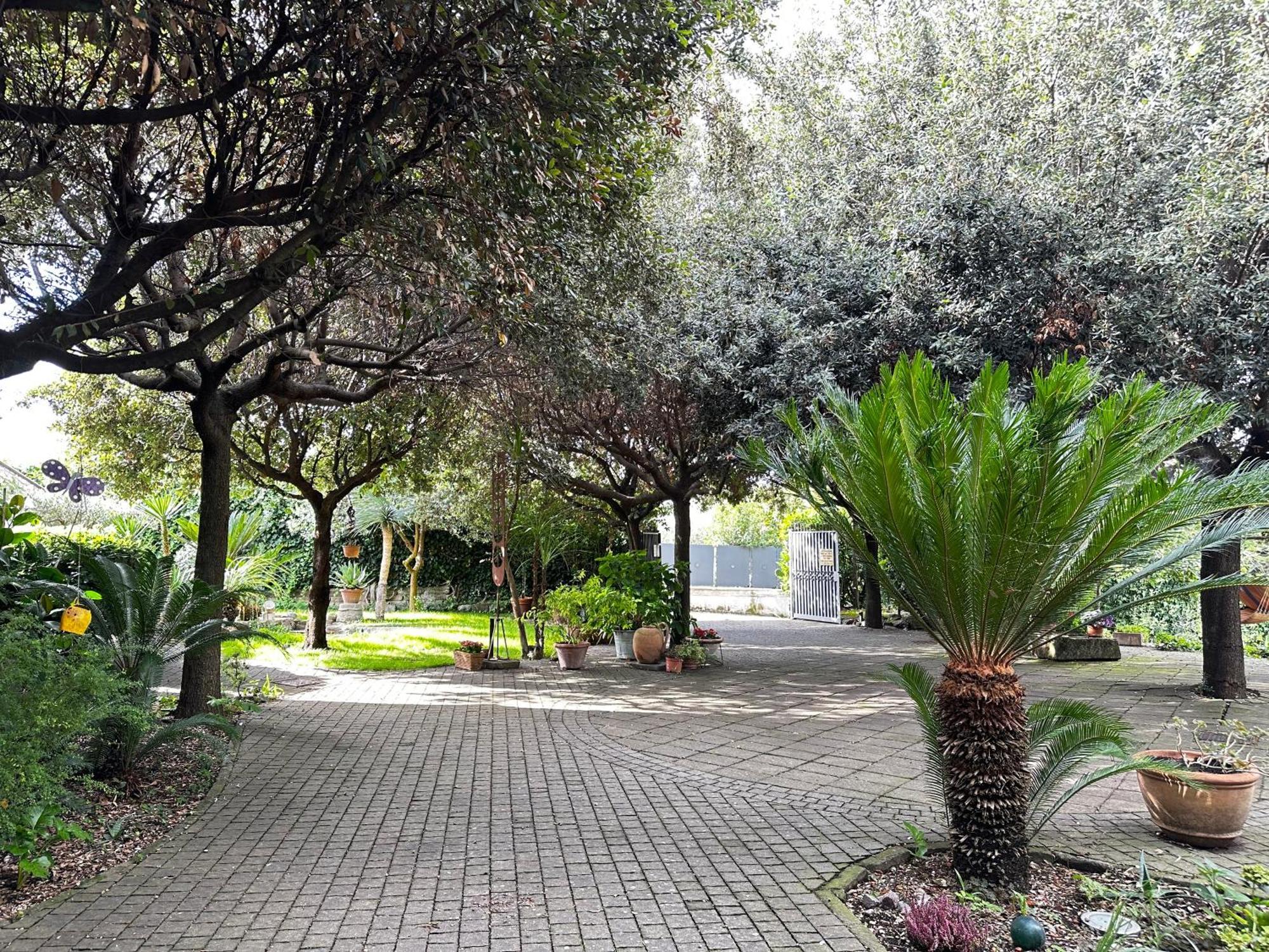 Borgo De' Paolis Apartment Гротаферата Екстериор снимка